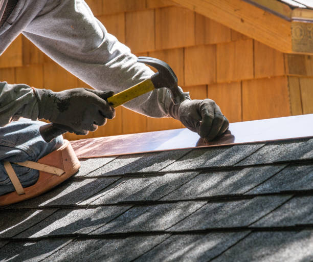 Best Roof Gutter Cleaning  in Buffalo, SC